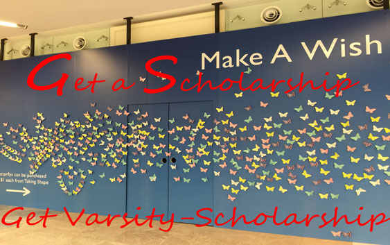 Varsity scholarship.com university student scholarships